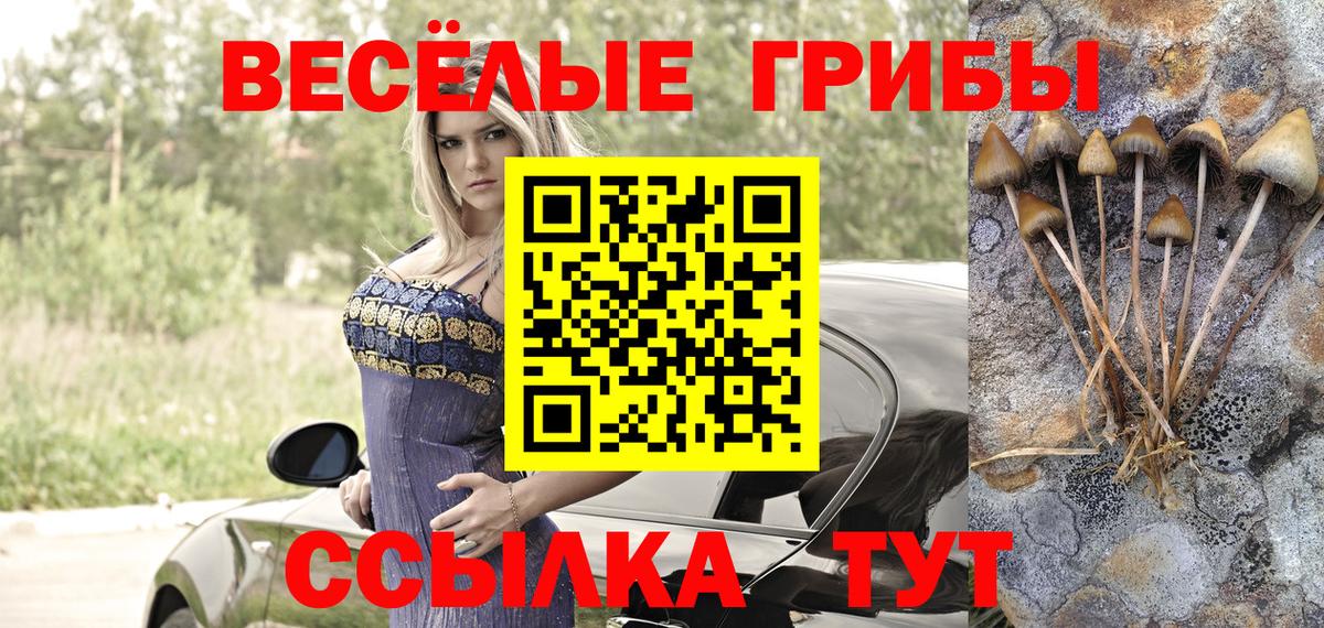 Псилоцибиновые грибы Magic Shrooms Краснодар