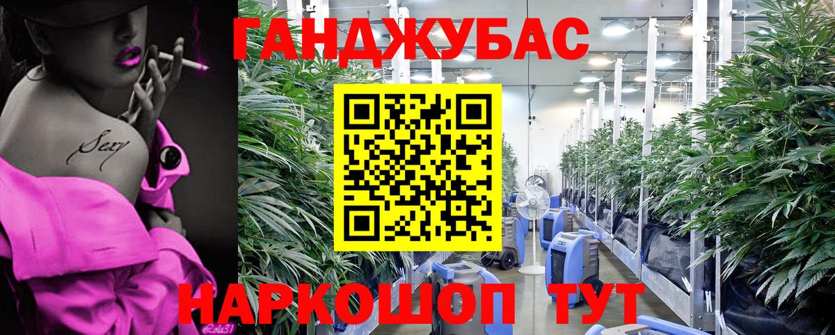 Шишки марихуана тримм  Вход с VPN  Бошки марихуана Ganja  Краснодар  Канабис Amnesia  Бошки Шишки конопля 